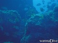 foto de buceo