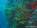 foto de buceo
