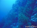 foto de buceo