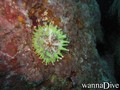 foto de buceo