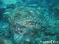 foto de buceo