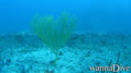 foto de buceo