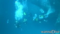 foto de buceo