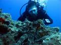 foto de buceo