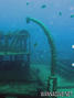 foto de buceo