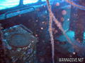 foto de buceo
