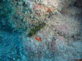 foto de buceo