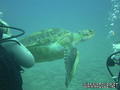 foto de buceo