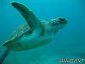 foto de buceo