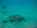 foto de buceo