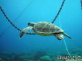 foto de buceo
