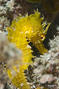foto de buceo