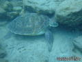 foto de buceo