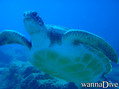 foto de buceo