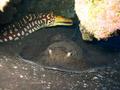 foto de buceo