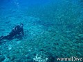 foto de buceo
