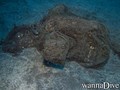 foto de buceo
