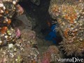 foto de buceo