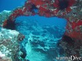 foto de buceo