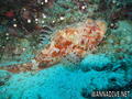 foto de buceo