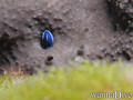 foto de buceo