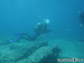 foto de buceo