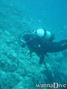 foto de buceo