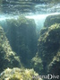 foto de buceo