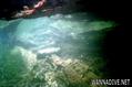 foto de buceo