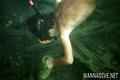 foto de buceo
