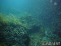 foto de buceo