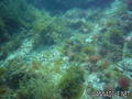 foto de buceo