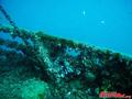 foto de buceo