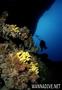 foto de buceo