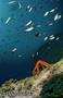 foto de buceo