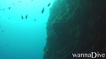 foto de buceo