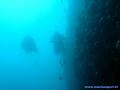 foto de buceo