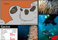 foto de buceo