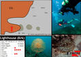 foto de buceo
