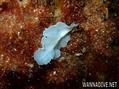 foto de buceo