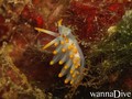 foto de buceo