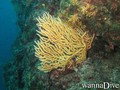 foto de buceo