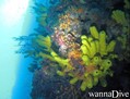 foto de buceo