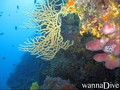 foto de buceo