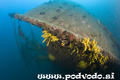 foto de buceo