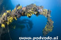 foto de buceo