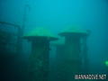 foto de buceo