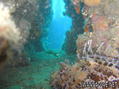 foto de buceo