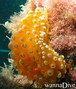 foto de buceo