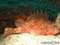 foto de buceo